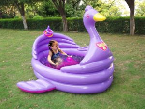 backyardoceanswan