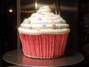cupcake cupcake