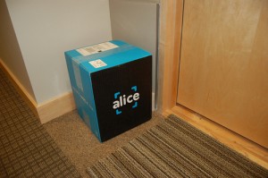 alice2 alice2