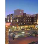 hilton hilton