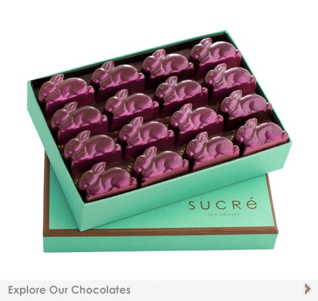 sucreeaster sucreeaster
