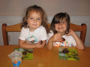 IMG_1575 IMG_1575