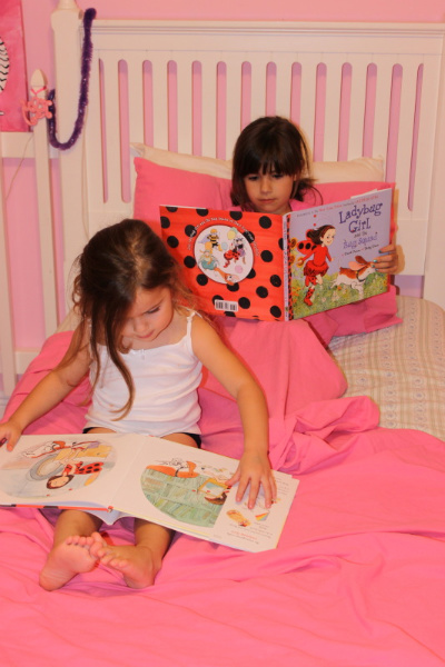ladybugbook